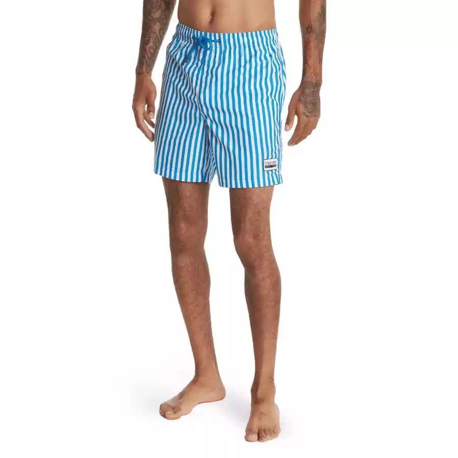 BEACH BROS Cabana Stripe Swim Shorts