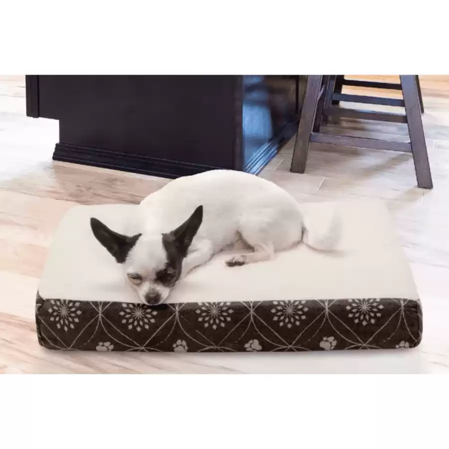 Evan Paw Decor Dog Pillow/Classic