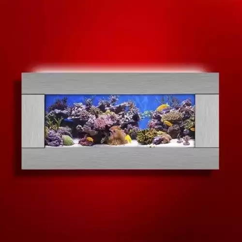 Vandue Aussie Aquariums 2.0 Wall Mounted Aquarium