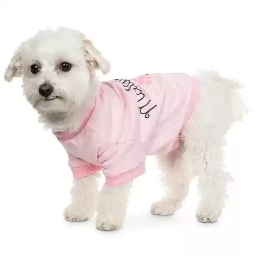 Collection XIIX Matchmaker Pet T-Shirt