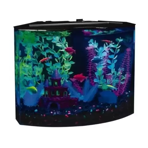 GloFish Crescent Aquarium Kit (5 Gallons)