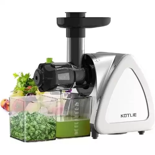 Juicer,KOTLIE Juicer Machine Vegetable and Fruit,Quiet Cold Press Juicer,Masticating Juicer Easy to Clean,High Juice Yield Slow Juicer,Slow Juicer with Two Special Container,Brush,Silver Juice Extract...