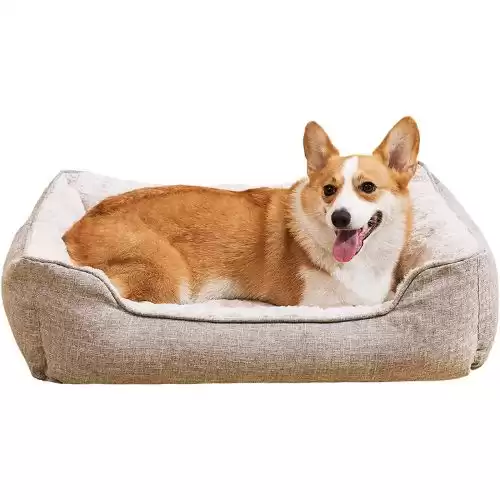 LIOOPET Pet Bed Medium Small Dogs Washable Dog Beds Puppy Non-Slip Waterproof Bottom Soft Durable Kitten Cat