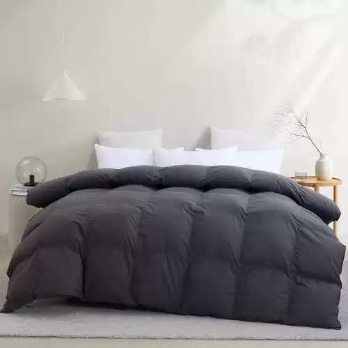 L LOVSOUL Queen Comforter,Goose Down Feather Comforter All Season Grey Duvet Insert with Corner Tabs,Down Feather Comforter 700 Fill Power 90x90Inches