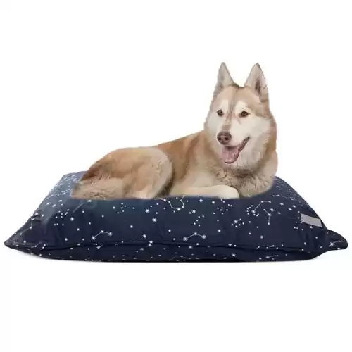 FRINGE STUDIO CLOSEOUT! Fringe Celestial Large Pet Pillow