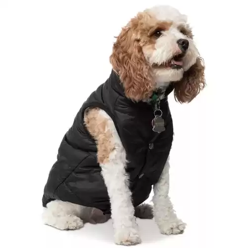 COLLECTION XIIX Pet Puffer Coat