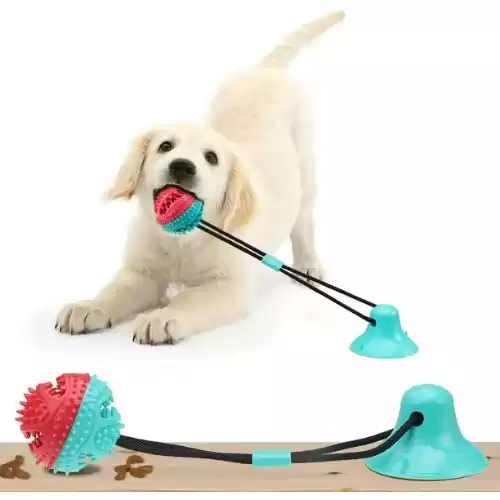 SPBPQY Dog Chew Suction Cup Tug of War