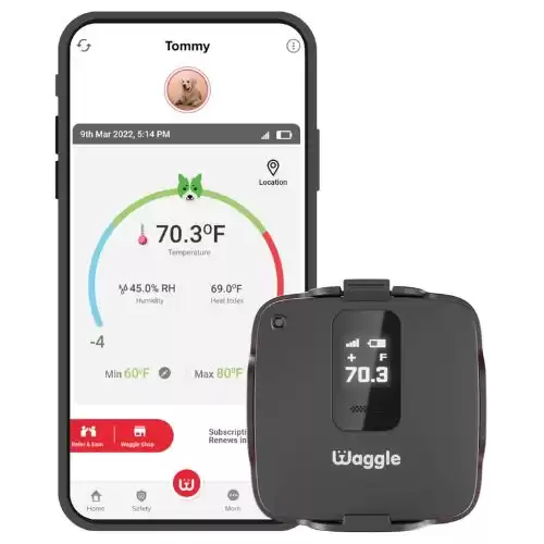 Waggle RV/Dog Safety Temperature & Humidity Sensor (Built-in GPS) with Verizon Cellular | Wireless Remote Pet Temp Monitor with 24/7 Email/SMS Alerts | No WiFi Needed