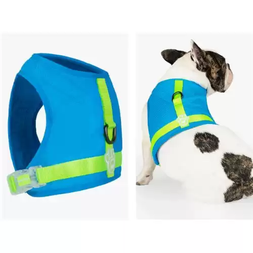 CANADA POOCH Chill Seeker Cooling Harness