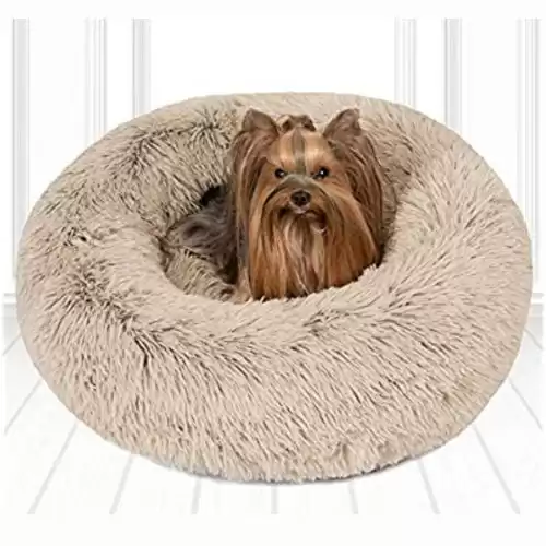 Friends Forever Small Cuddler Pet Bed - Tan