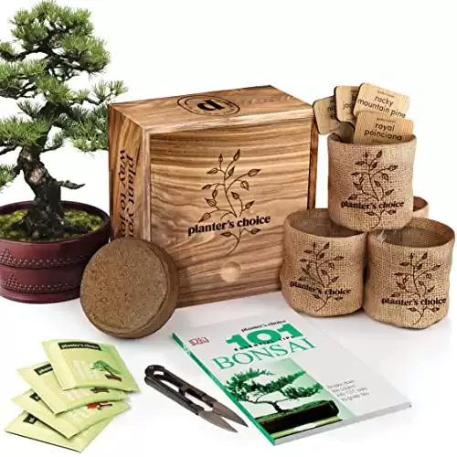 Bonsai Starter Kit - DIY Bonsai Growing Gift - Garden Hobbies for Adults, Women & Men : 4 Unique Tree Seeds, Soil, Pots, Pruning Shears, Plant Markers + Wood Gift Box