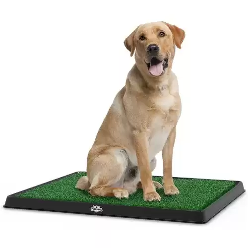 Artificial Grass Puppy Pee Pad for Dogs and Small Pets - 20x25 Reusable 3-Layer Training Potty Pad with Tray - Dog Housebreaking Supplies by PETMAKER