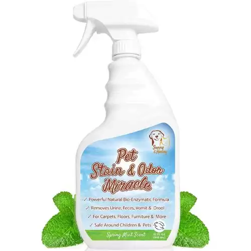 Pet Stain & Odor Miracle - Enzyme Cleaner for Dog Urine Cat Pee Feces Vomit, Enzymatic Solution Cleans Carpet Rug Car Upholstery Couch Mattress Furniture, Natural Eliminator (S/M 32FL OZ)